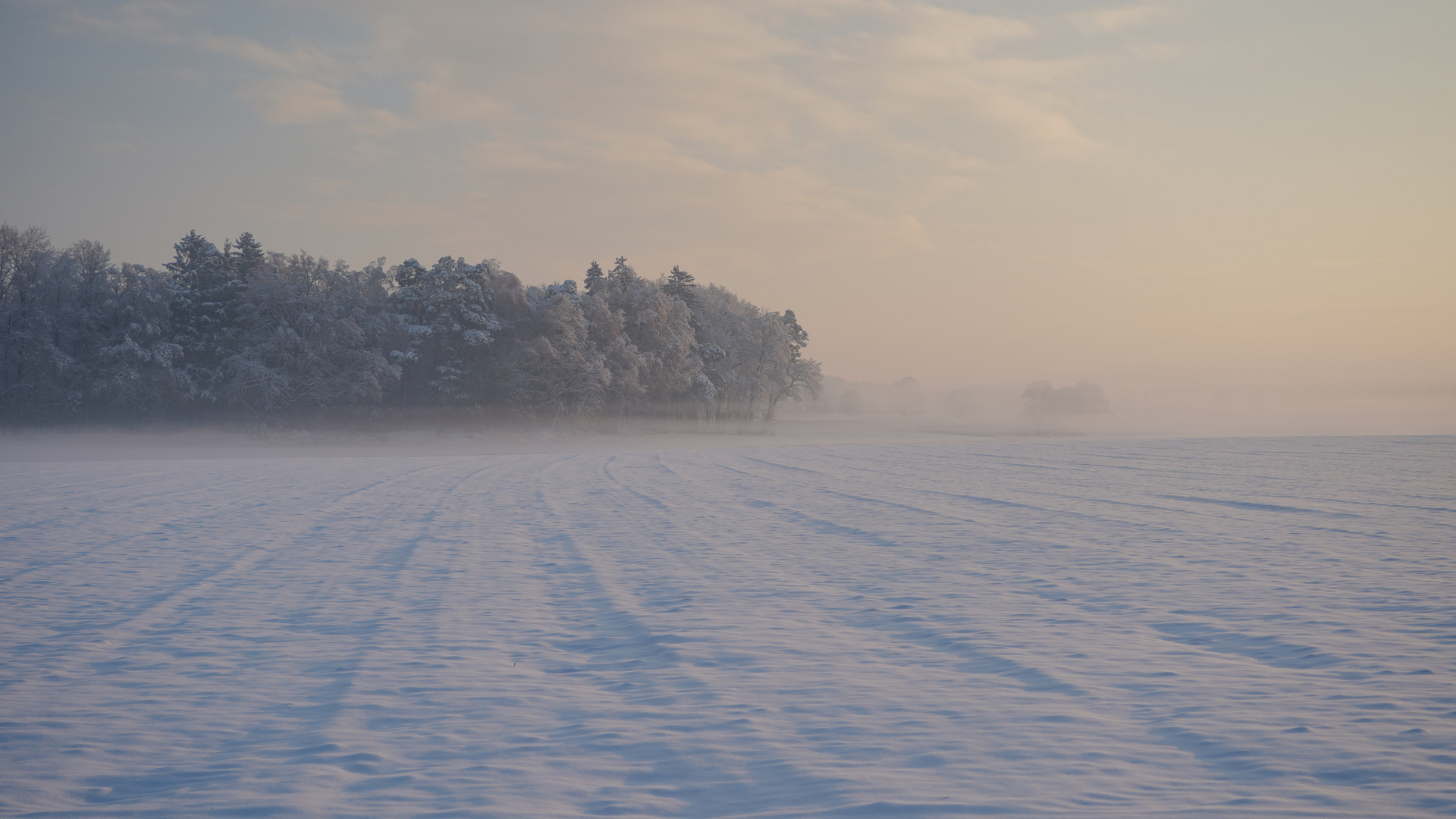 Vergessener Winter 