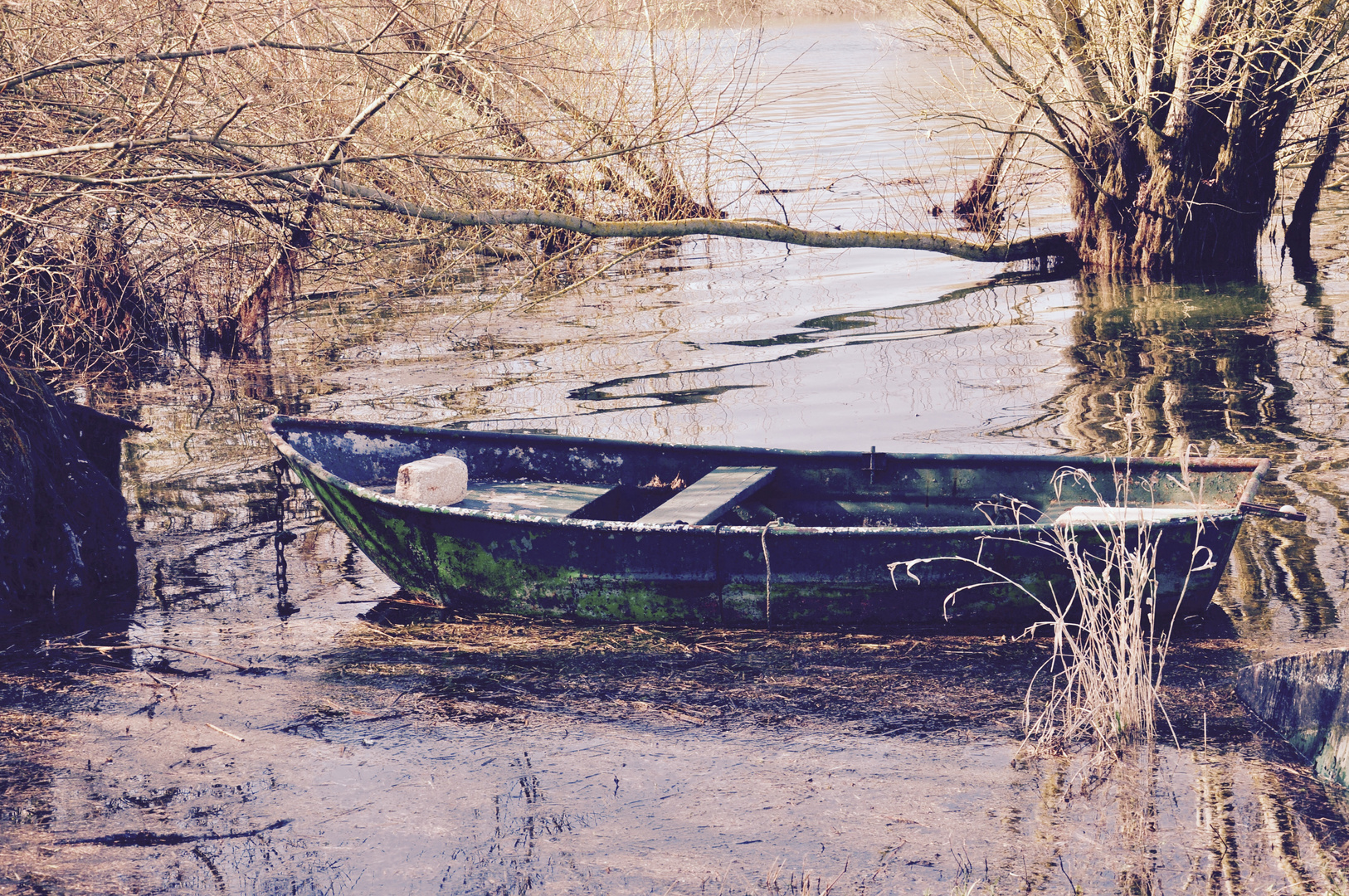 Vergessenes Boot