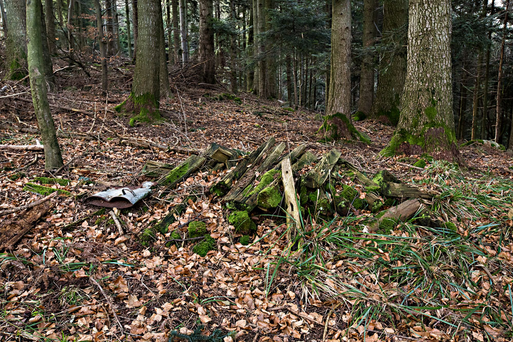 vergessenes Brennholz und andere Sachen