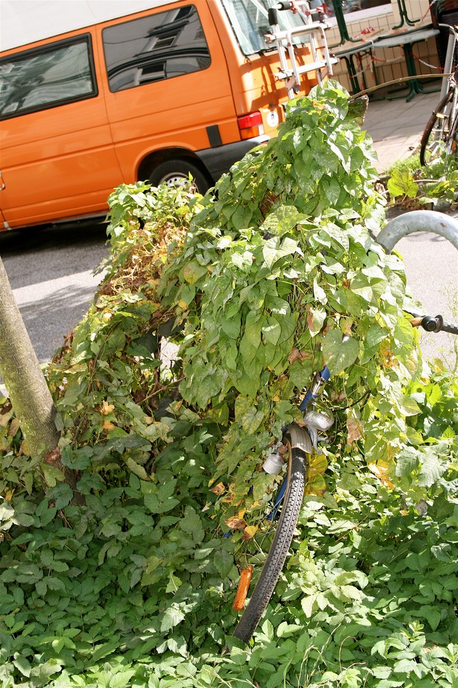 Vergessenes Fahrad...