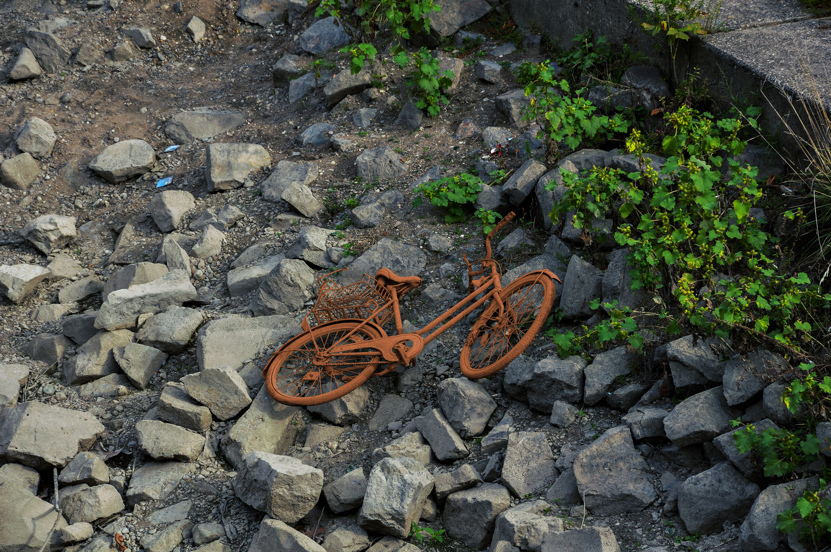 Vergessenes Fahrrad