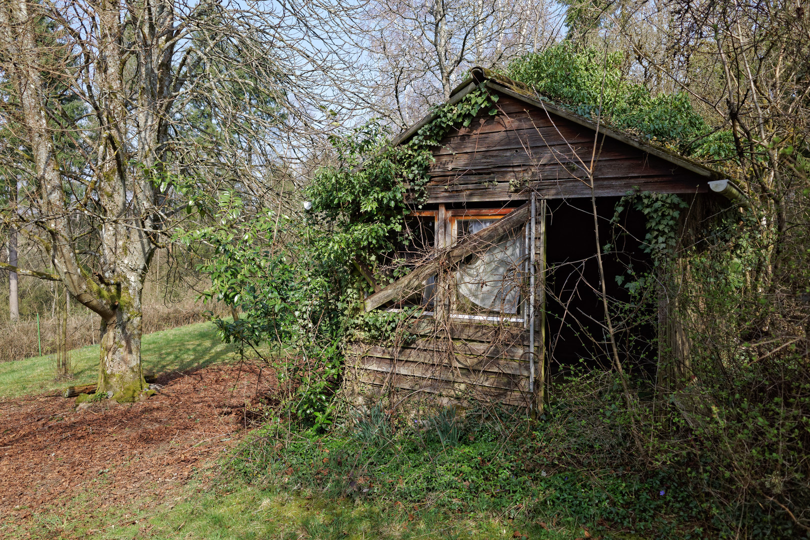 Vergessenes Gartenhäuschen