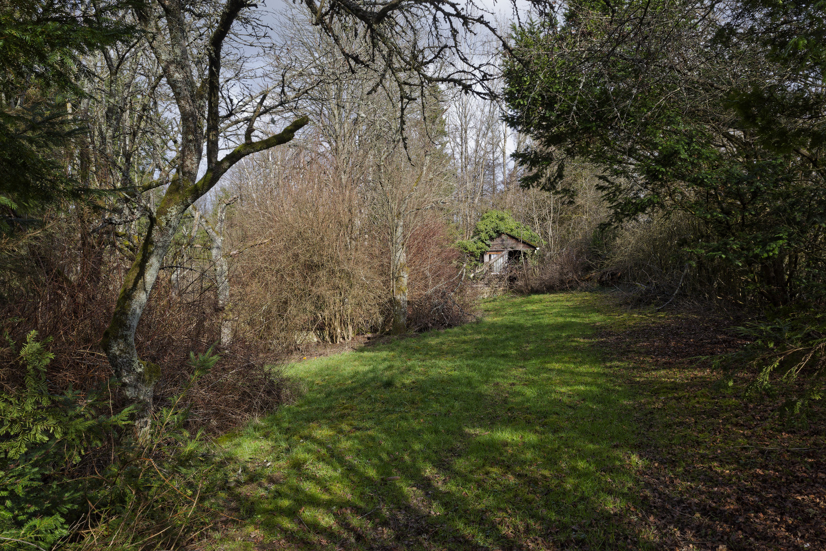 Vergessenes Gartenhäuschen