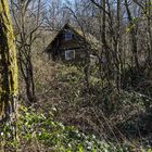 Vergessenes Holzhaus
