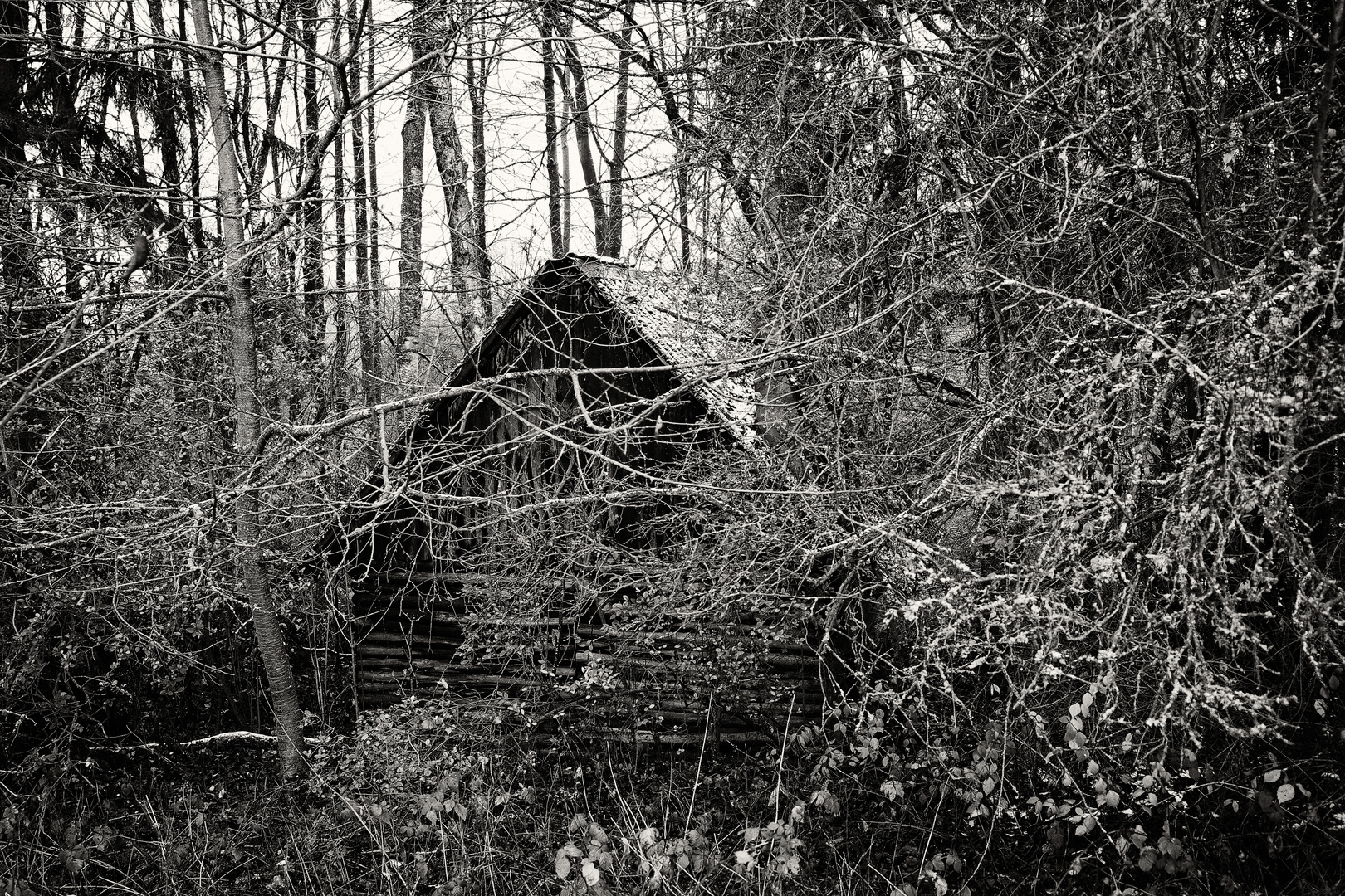 Vergessenes Holzhaus