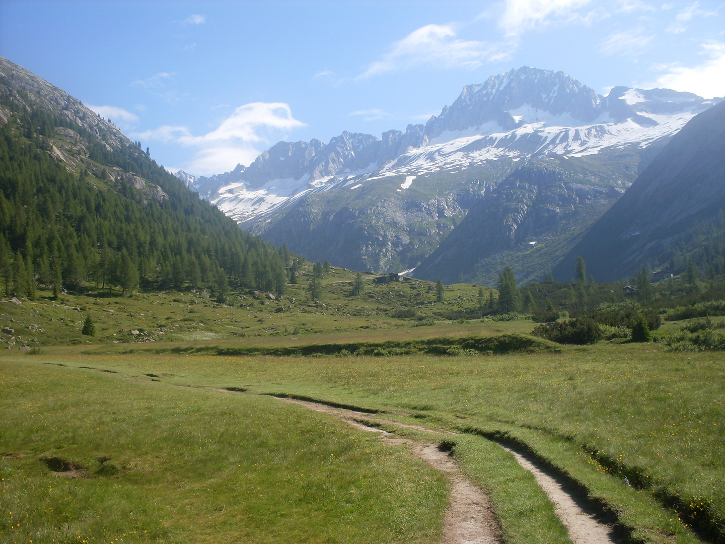 vergine Val di Fumo