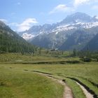 vergine Val di Fumo