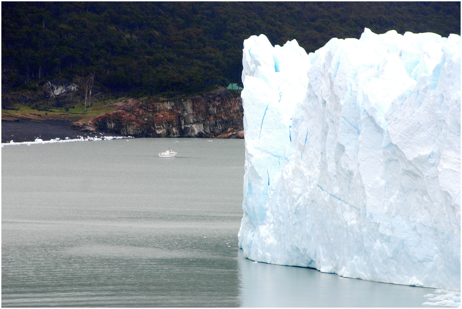 Vergleich- Perito Moreno Gletscher mit Touri-Boot