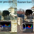 Vergleich Rossmann und eigener Scann+ Histogramme