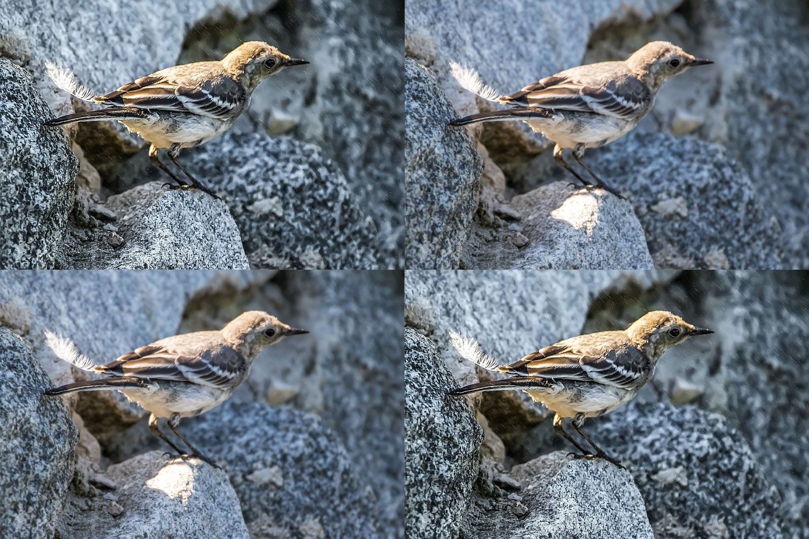 "Vergleich von Grundbild zu dem Bearbeiteten"