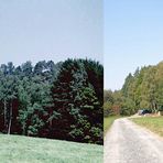 vergleich_rauensteine_und_weg_1987-2016