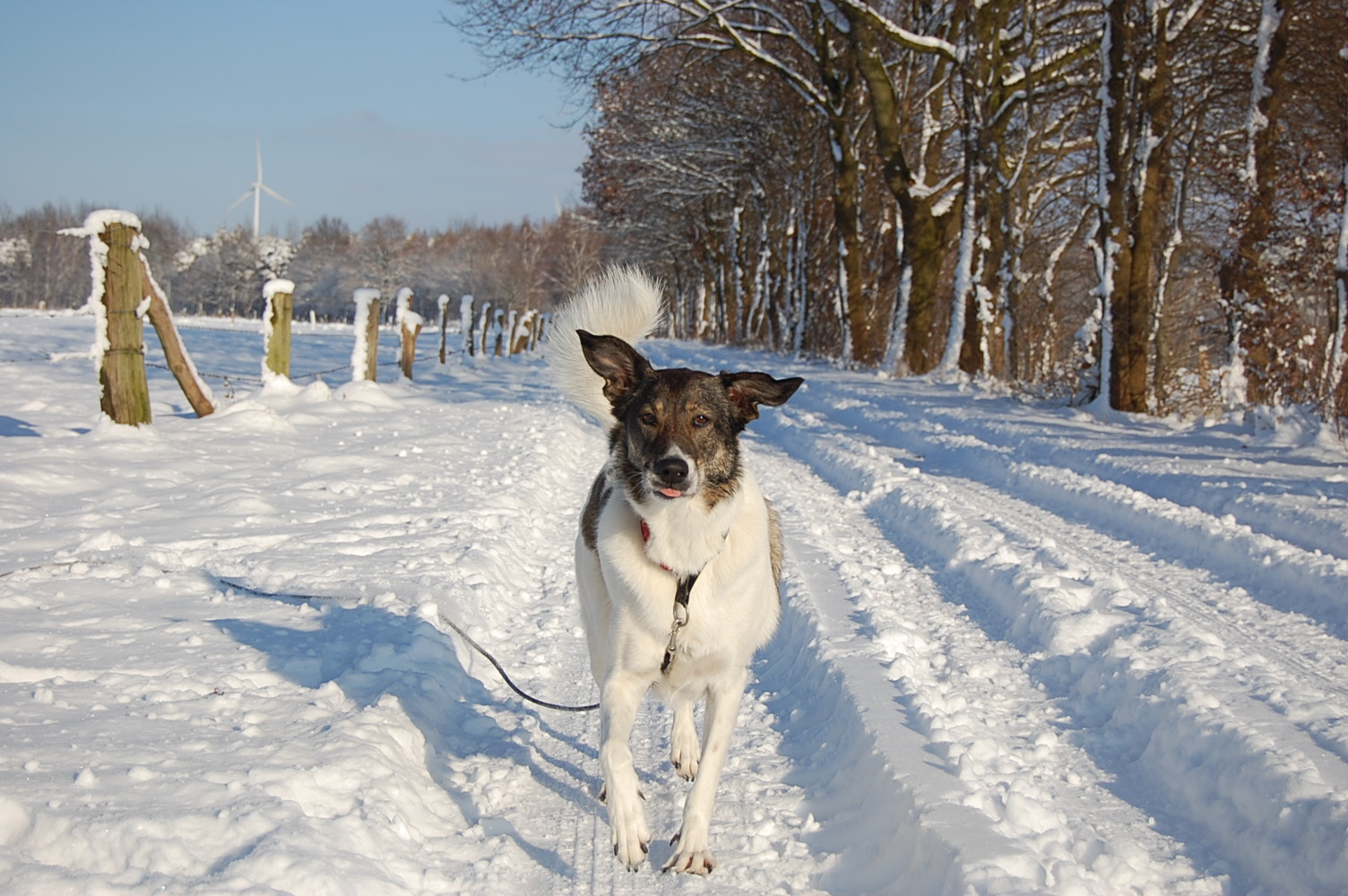 Vergnügen im Schnee