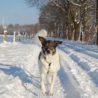 Vergnügen im Schnee