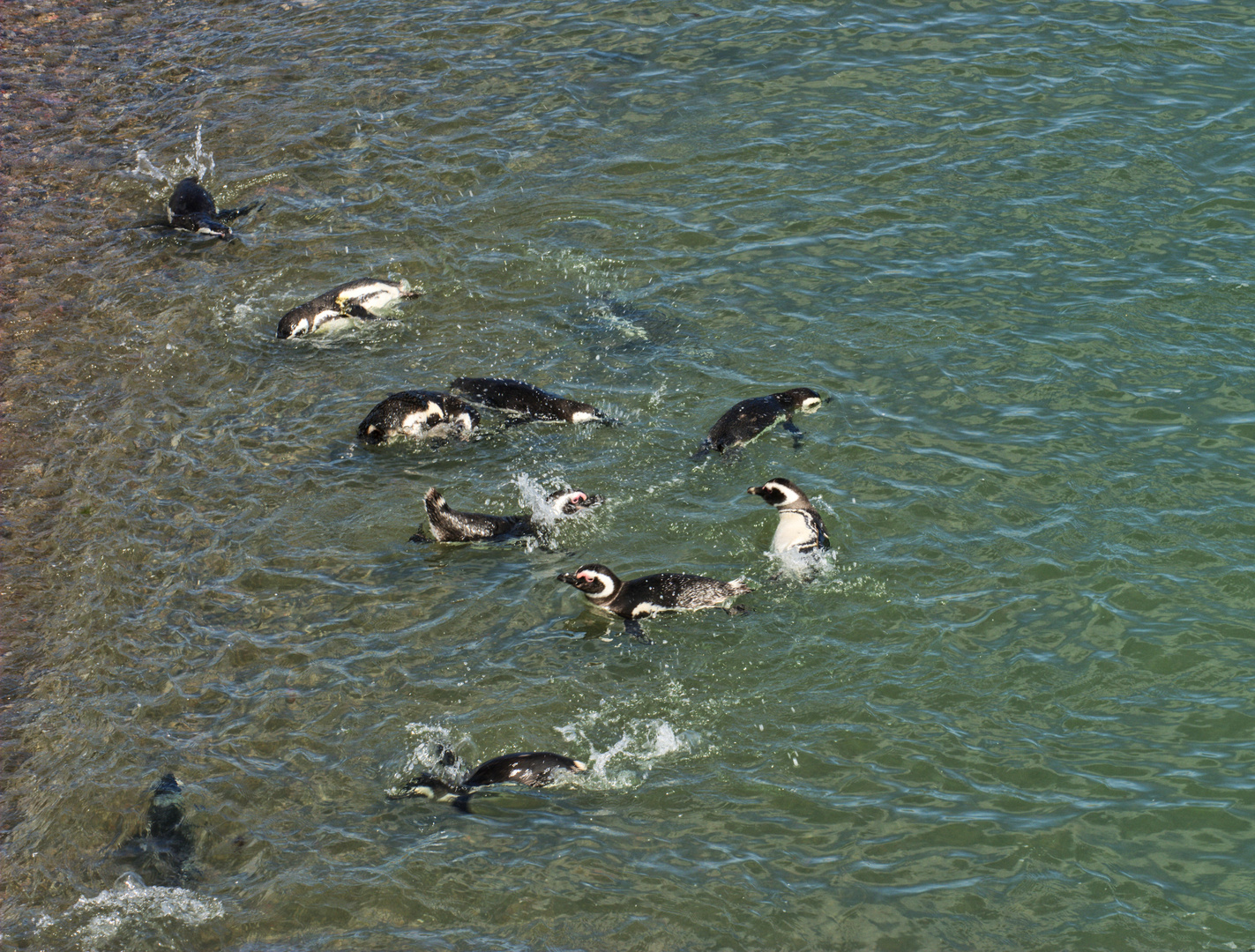 Vergnügen im Wasser