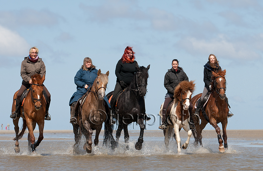 Vergnügen pur am Strand von Sankt Peter Ording