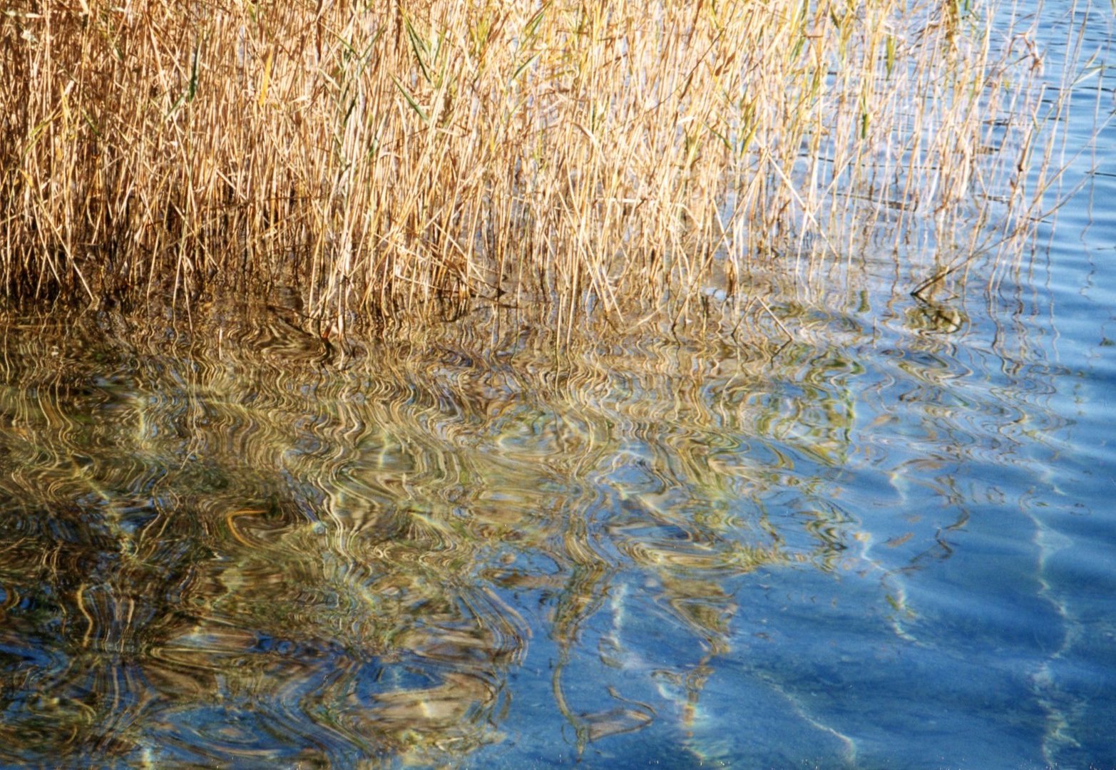 vergoldete Wellen am Wörthersee