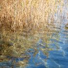 vergoldete Wellen am Wörthersee