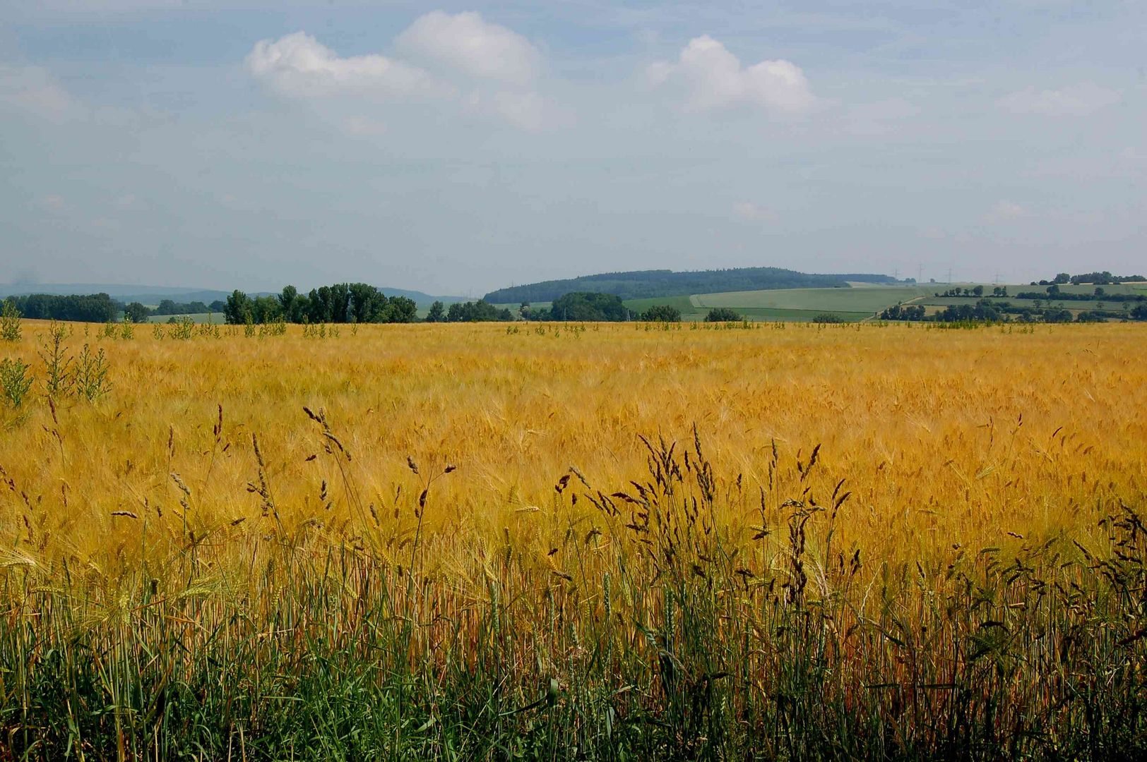 Vergoldeter Ausblick