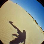 Verhaltensstudie eines in der Wüste ausgetrockneten Buntbarschgehirns
