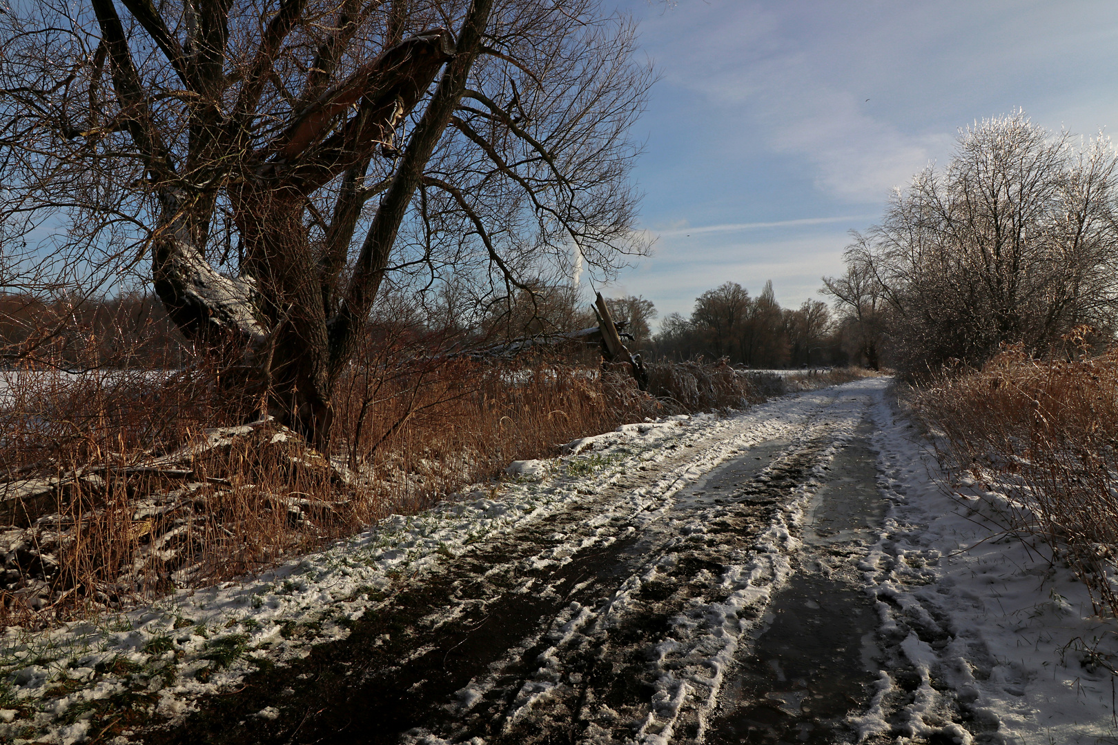 Verharschter Schnee