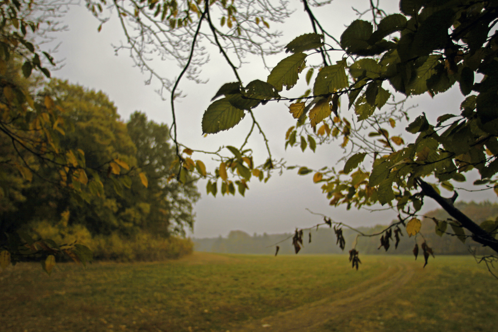 Verhüllter Tag