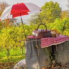 Verkaufsstand im Weinberg 