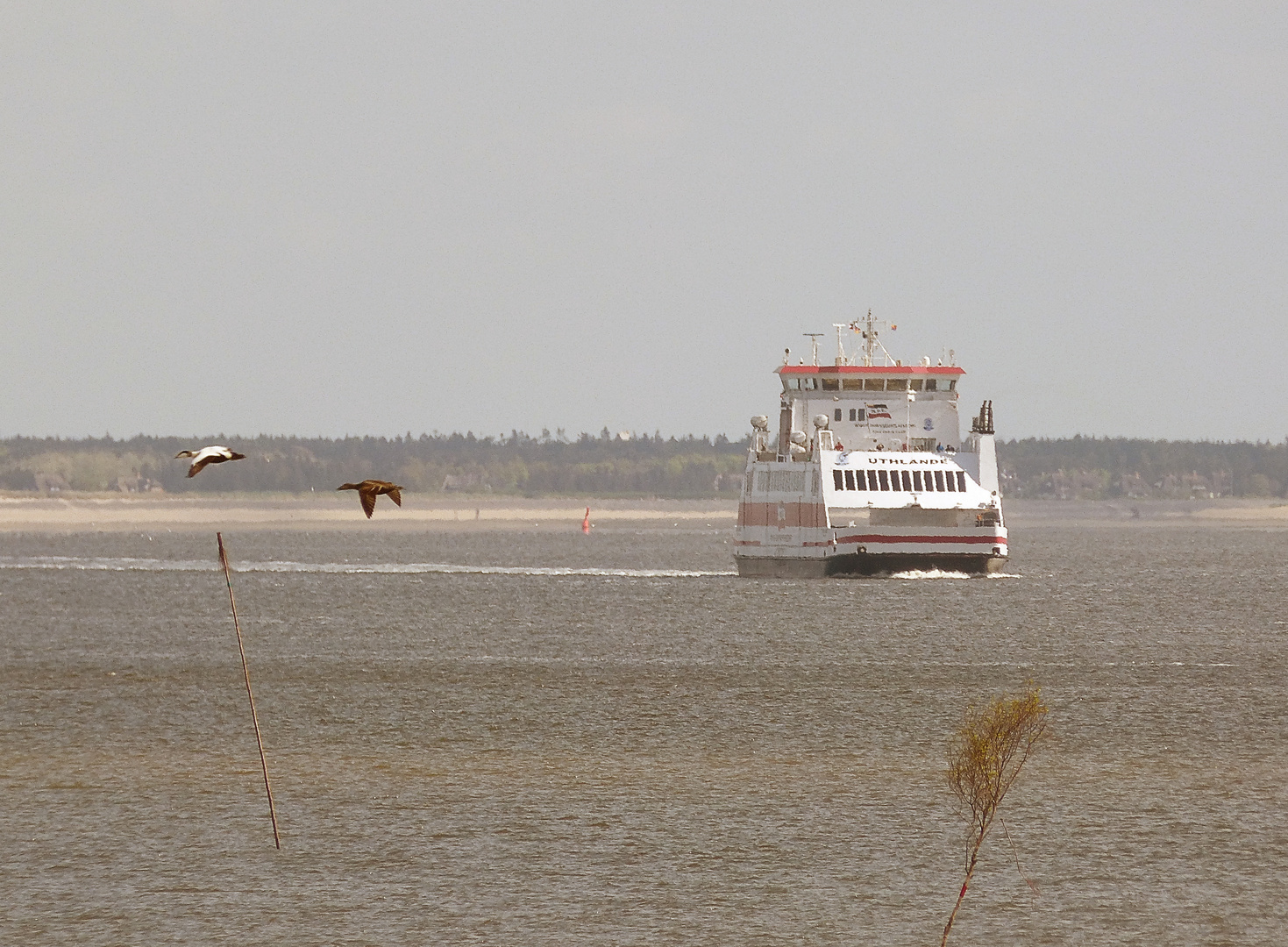 Verkehr im Wattenmeer