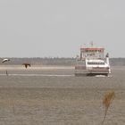 Verkehr im Wattenmeer