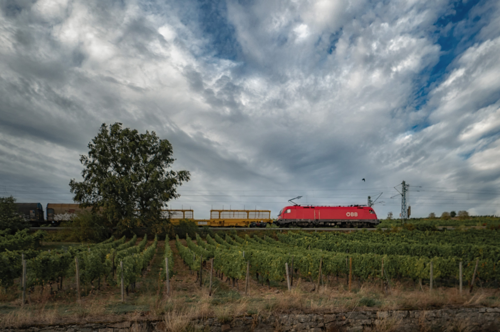 Verkehr im Weinberg