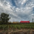 Verkehr im Weinberg