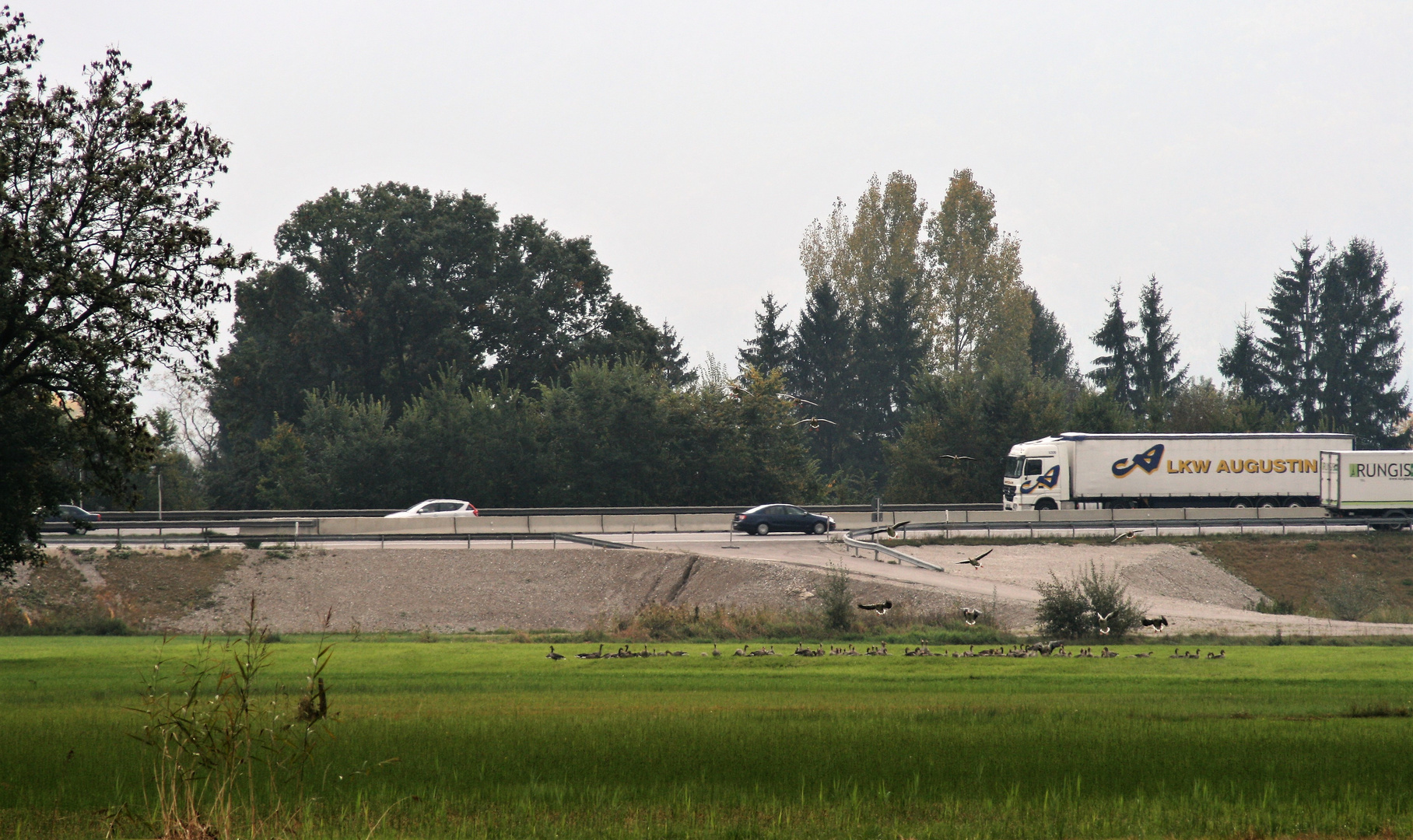 Verkehr von Technik und Natur