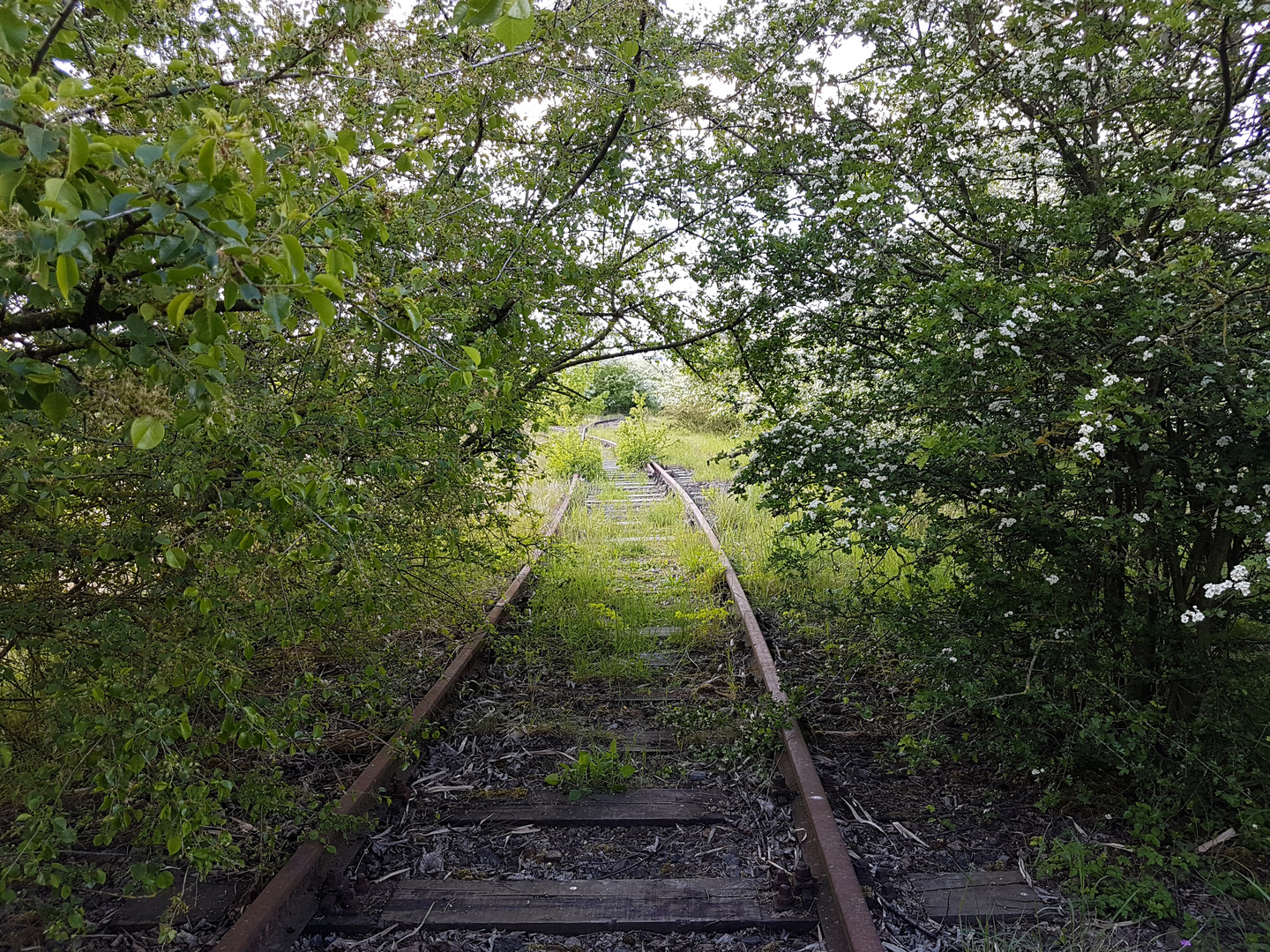 Verkehrsberuhigung