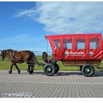 Verkehrsberuhigung auf Baltrum...