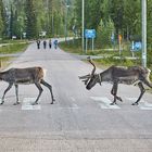 Verkehrsdisziplin