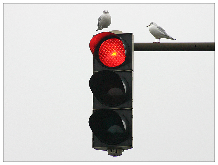 Verkehrserziehung