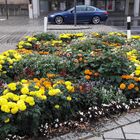 Verkehrsinsel in der Festspielstadt Bayreuth