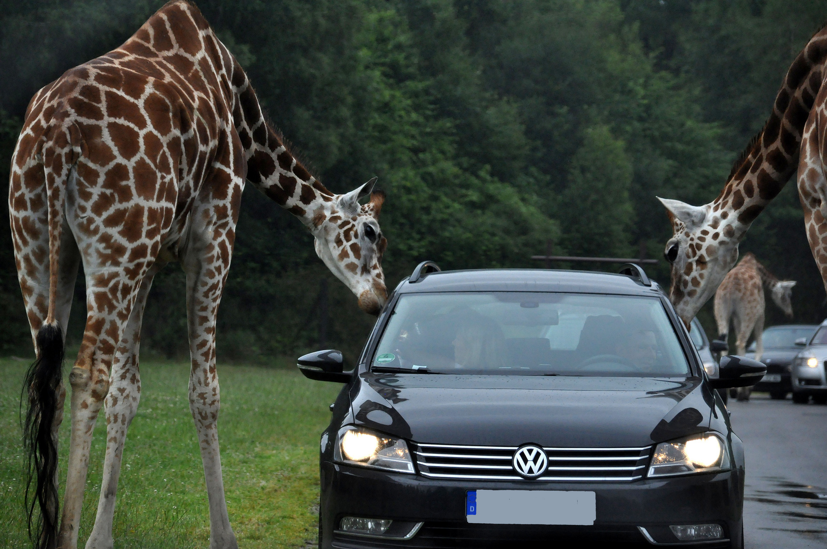 Verkehrskontrolle