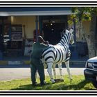 Verkehrskontrolle am Zebrastreifen...