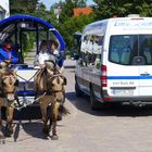 Verkehrsmittel auf Hiddensee