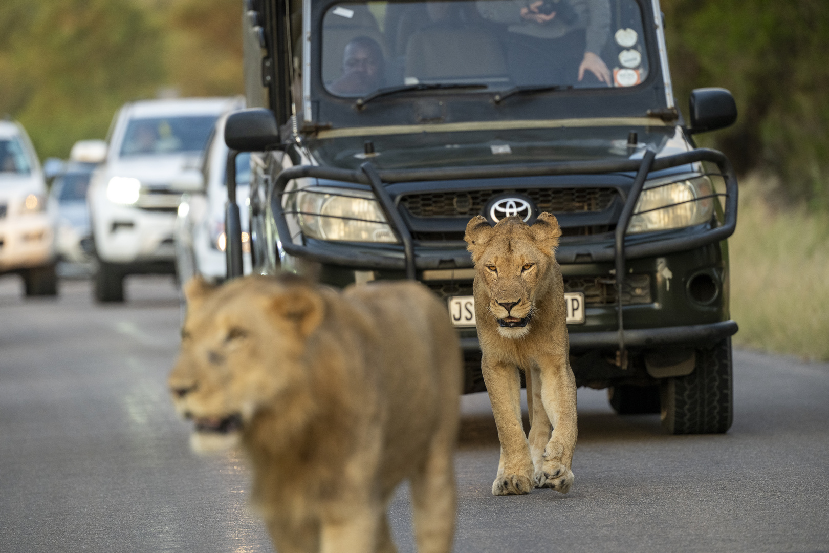 Verkehrsregelung auf afrikanisch