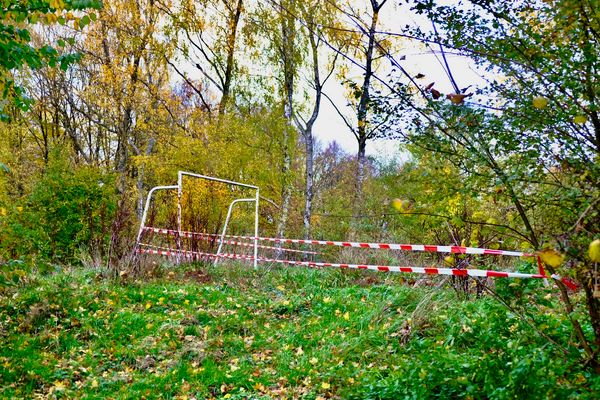 Verkehrsregelung für Wildschweine