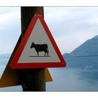 Verkehrsregelung in der Schweiz