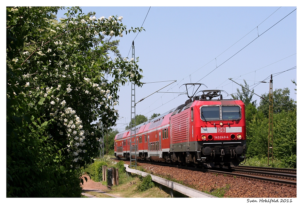 Verkehrsrot in der Blüte...