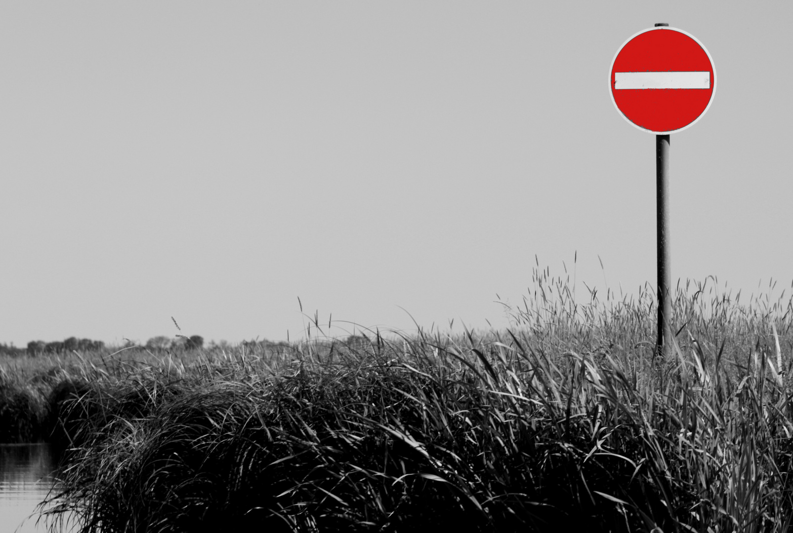 Verkehrsschild im Moor