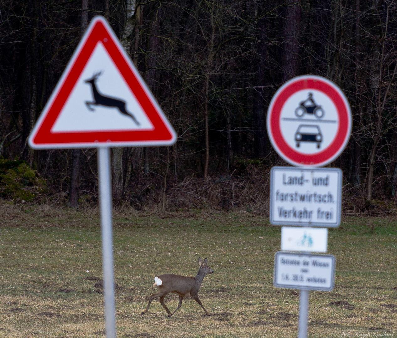 Verkehrsschilder haben ihre Berechtigung...