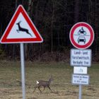 Verkehrsschilder haben ihre Berechtigung...