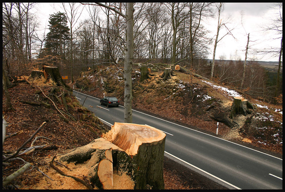 Verkehrssicherungspflicht 1