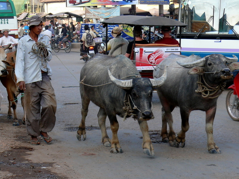 Verkehrsteilnehmer in Siem Reap