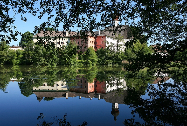 verkehrte Welt