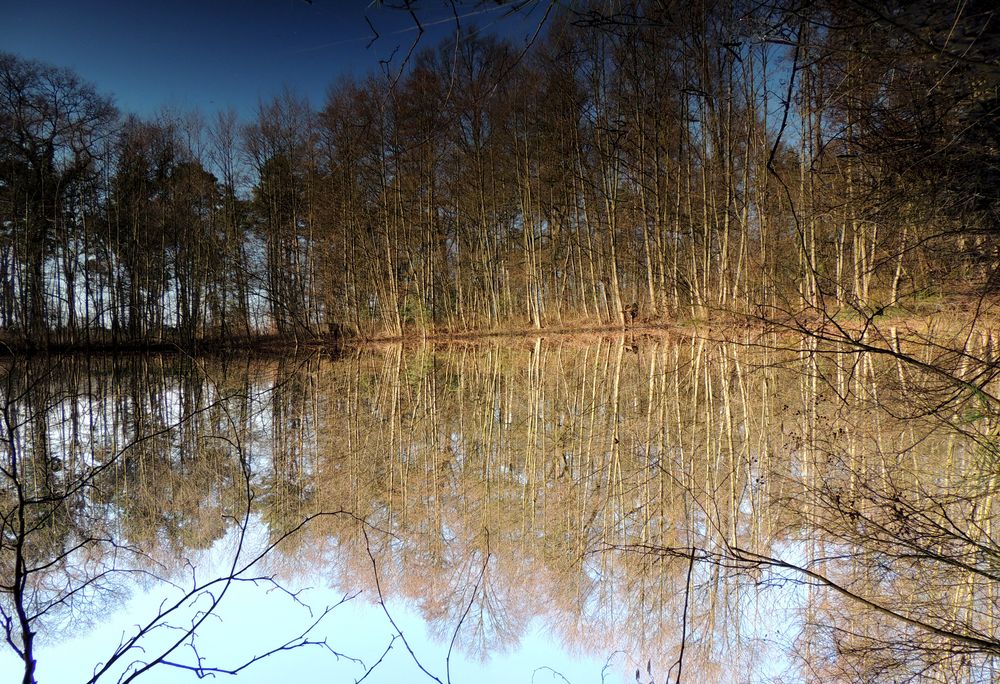 Verkehrte Welt